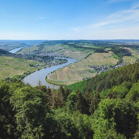 Mehringer Schweiz *