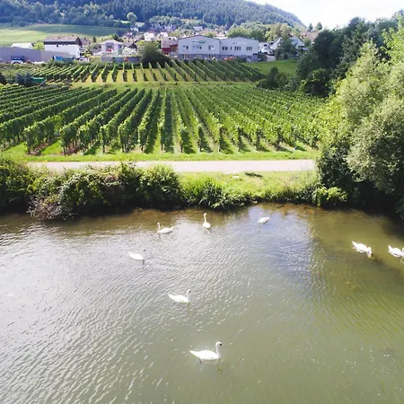 Mehringer Schweiz * Mehring (Rhineland-Palatinate)