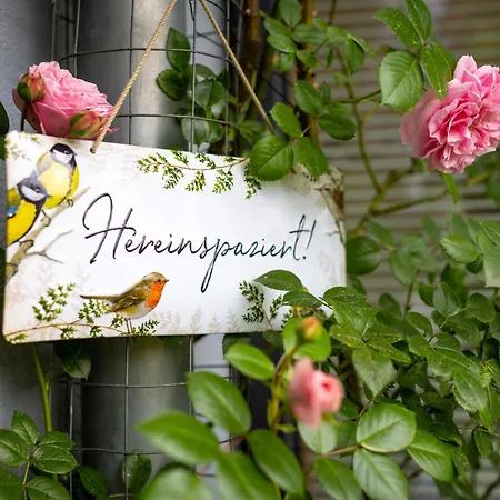 Appartement Mehringer Schweiz *